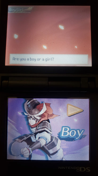 Pokemon Conquest Twin Dragons Nintendo DS Custom ROM Hack Video Game