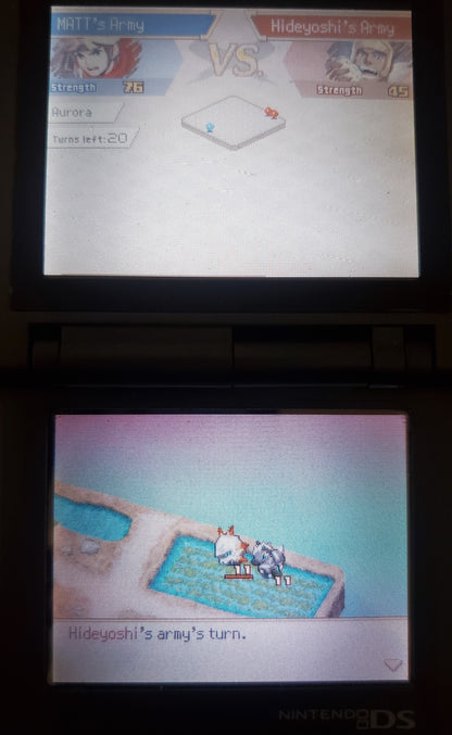 Pokemon Conquest Twin Dragons Nintendo DS Custom ROM Hack Video Game