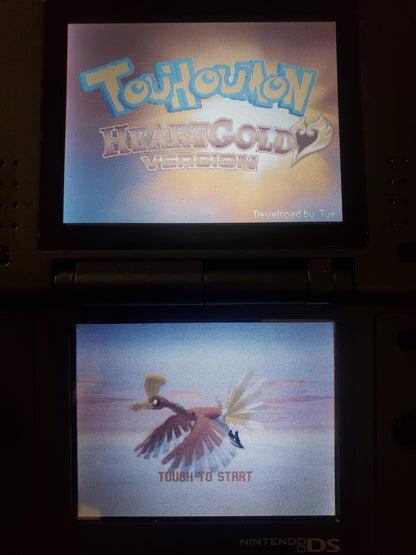 Pokemon Touhoumon HeartGold Nintendo DS Custom ROM Hack Video Game