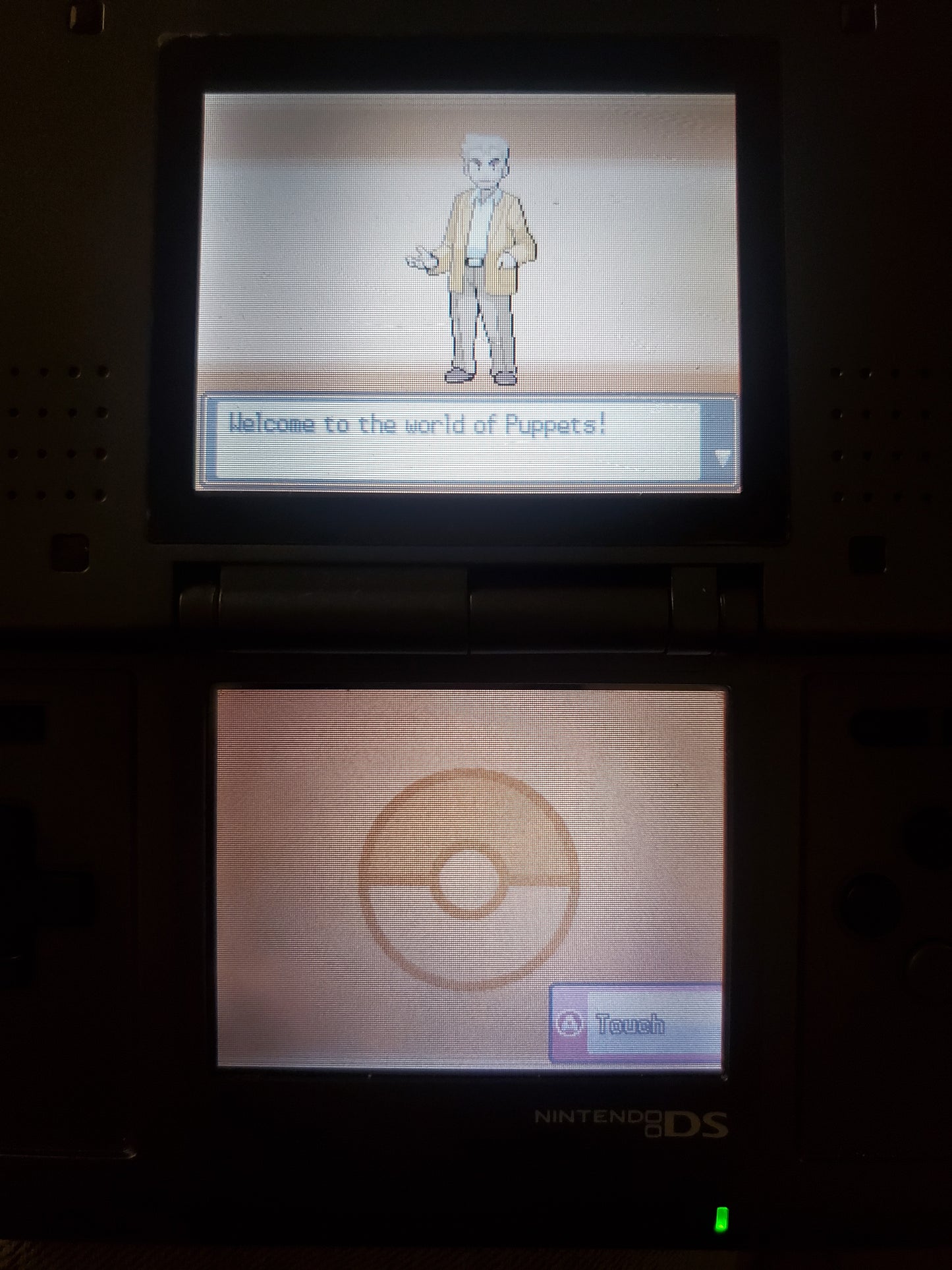 Pokemon Touhoumon HeartGold Nintendo DS Custom ROM Hack Video Game