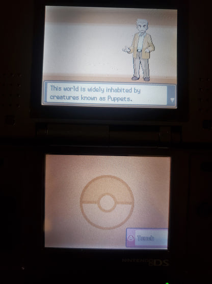 Pokemon Touhoumon HeartGold Nintendo DS Custom ROM Hack Video Game