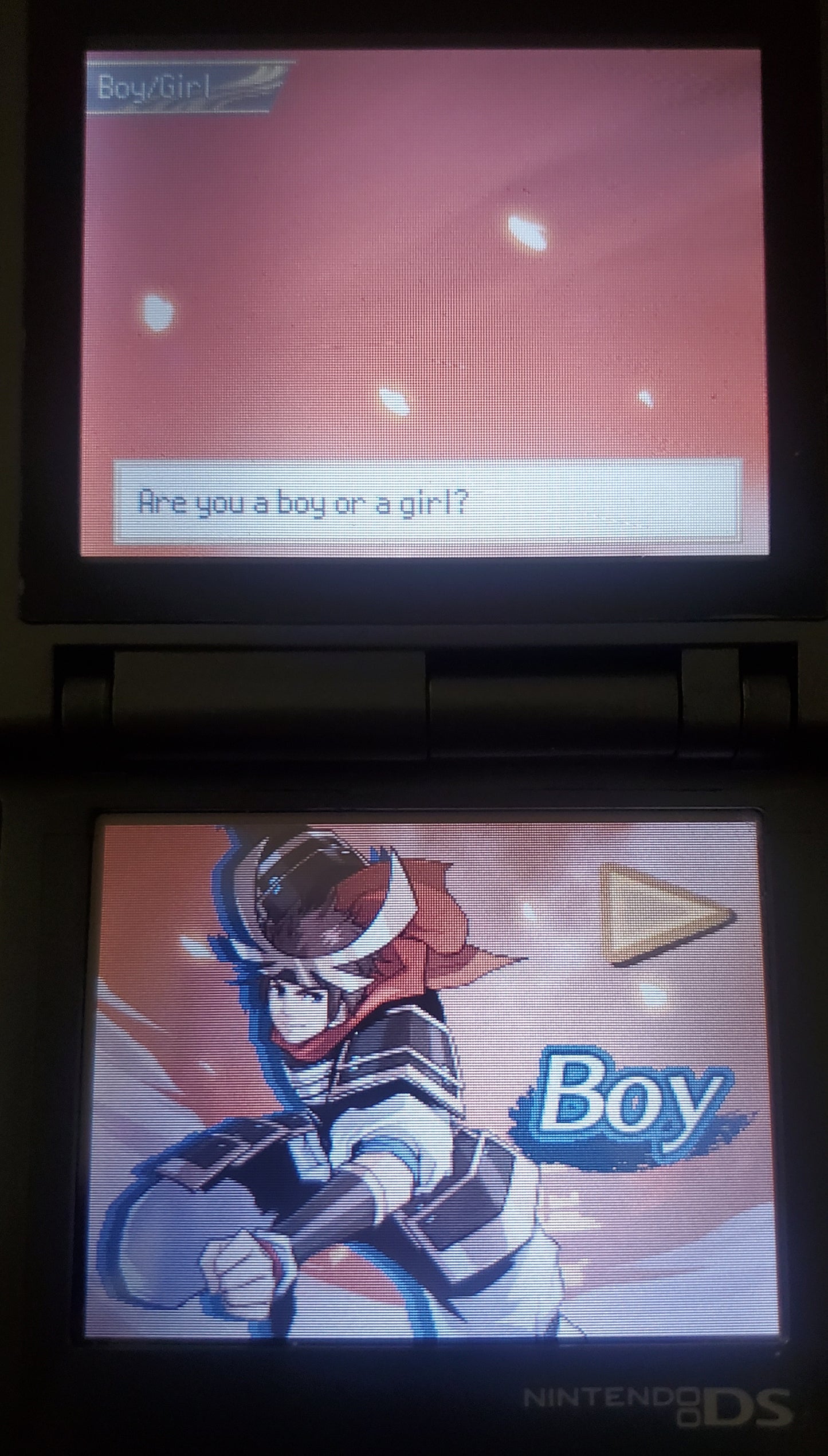 Pokemon Conquest Video Game Nintendo DS 2012