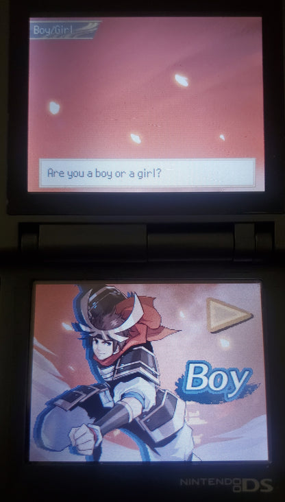 Pokemon Conquest Video Game Nintendo DS 2012