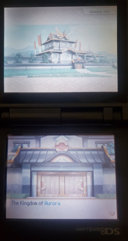 Pokemon Conquest Video Game Nintendo DS 2012