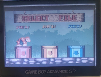 Donkey Kong 5 A Journey Over Time and Space Gameboy Color GBC Video Game Catridge