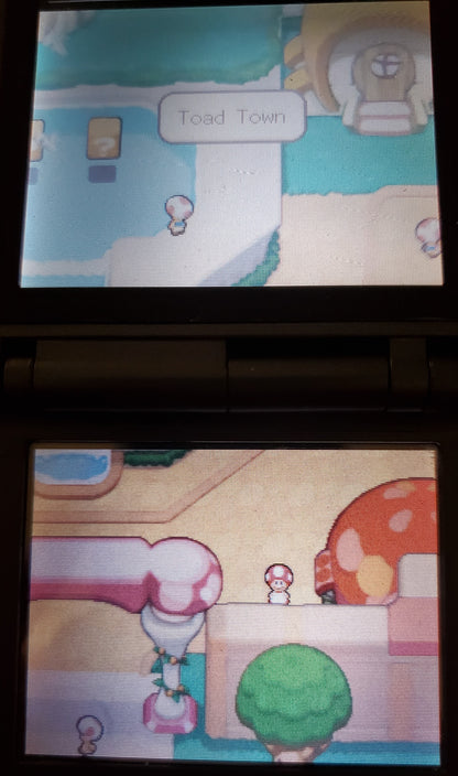 Mario and Luigi Bowser's Inside Story Video Game Nintendo DS 2009