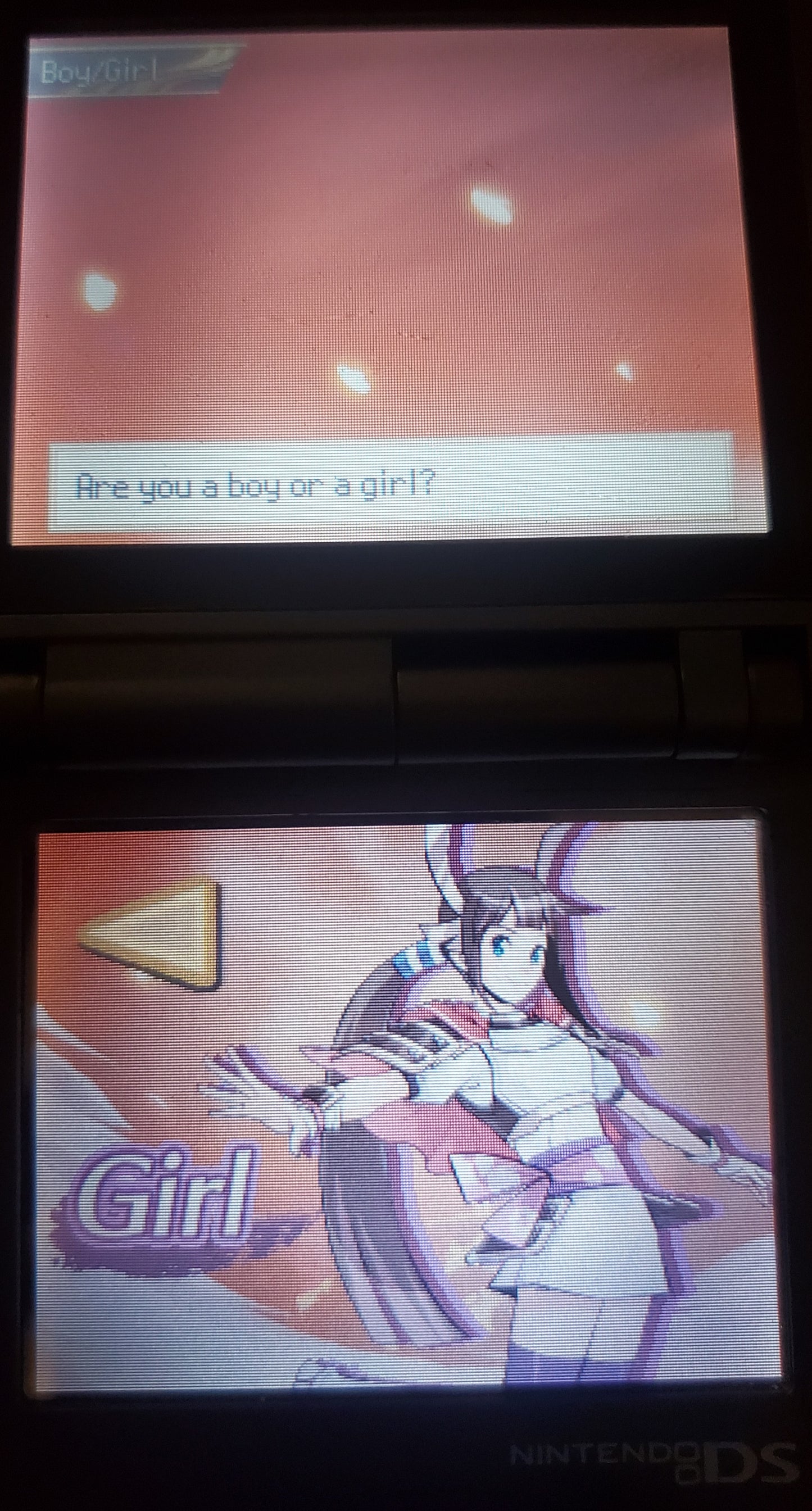 Pokemon Conquest Ultimate Video Game Nintendo DS with Box