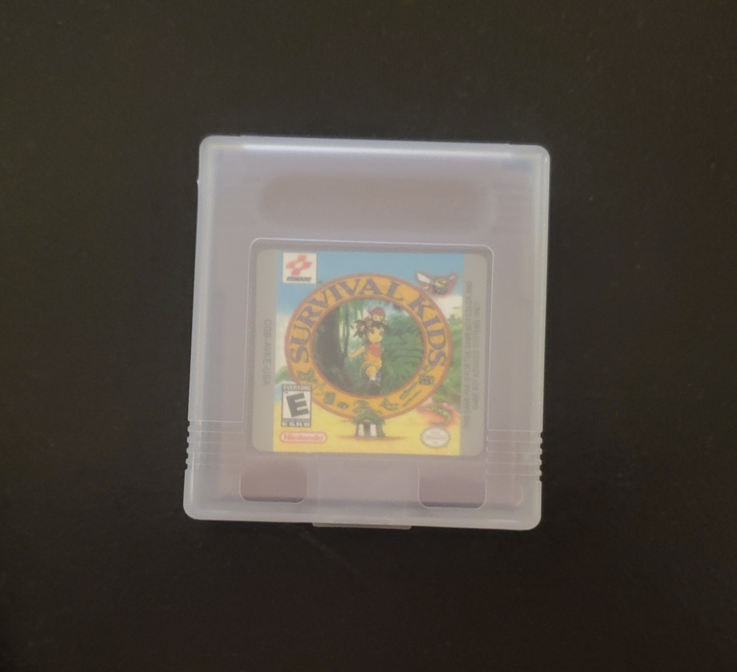 Survival Kids 1 GBC Video Game Catridge Gameboy Color 1999