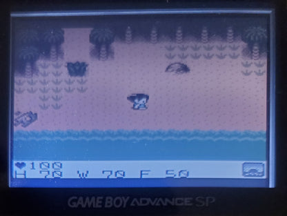 Survival Kids 1 GBC Video Game Catridge Gameboy Color 1999