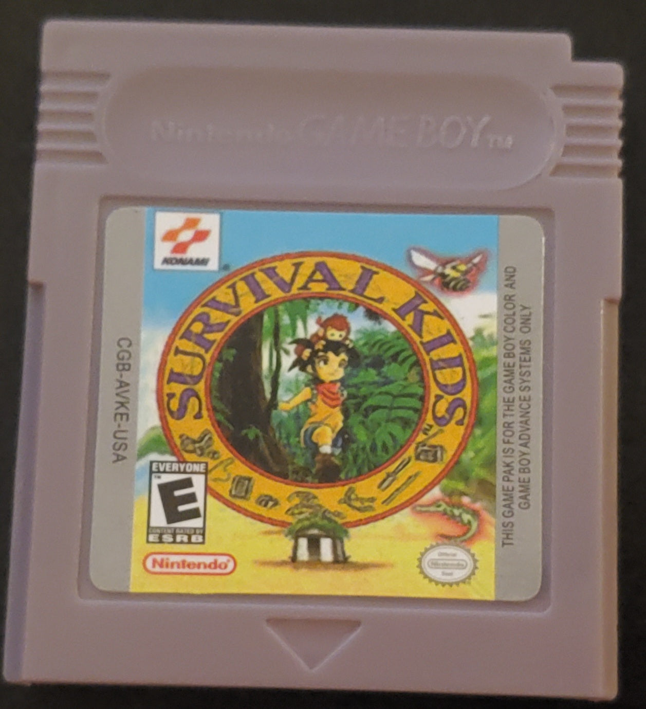 GBC Video Game Cartridge Collection Nintendo Gameboy Color