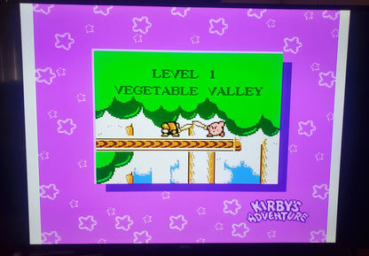 Kirby's Adventure NES Video Game Nintendo Entertainment System 1993