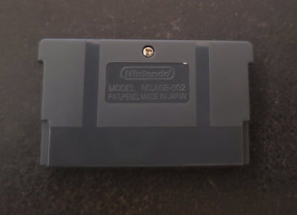 Pokemon Silver Rival GBA ROM Hack Video Game Boy Advance