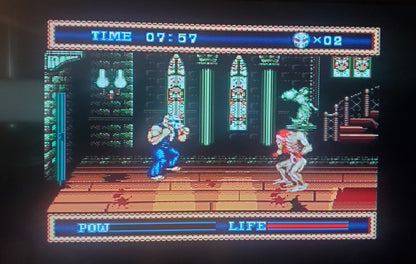 Splatterhouse 3 Sega Genesis Mega Drive Video Game Cartridge 1993