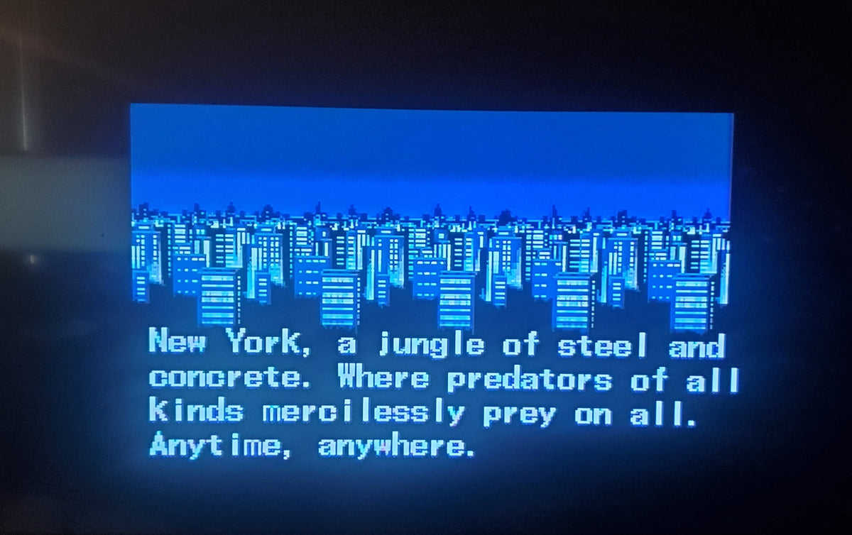 The Punisher Sega Genesis Mega Drive Video Game Cartridge 1994