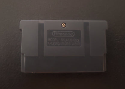 Pokemon Girls Hunter 1 GBA Pokemon ROM Hack Video Game Boy Advance