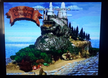Donkey Kong Country 1 SNES Video Game Cartridge Super Nintendo 1994