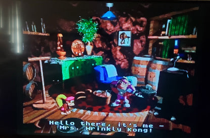 Donkey Kong Country 3 DKC 3 SNES Video Game Super Nintendo 1996