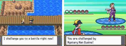 Pokemon True Soul Nintendo DS Custom ROM Hack Video Game Cartridge