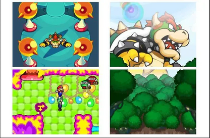 Mario and Luigi Bowser's Inside Story Video Game Nintendo DS 2009