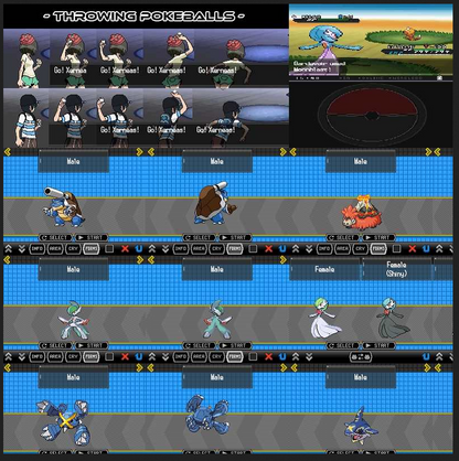 Pokemon Moon Black 2 Video Game Nintendo DS with Box