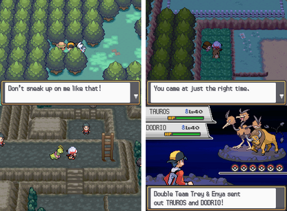 Pokemon True Soul Nintendo DS Custom ROM Hack Video Game Cartridge