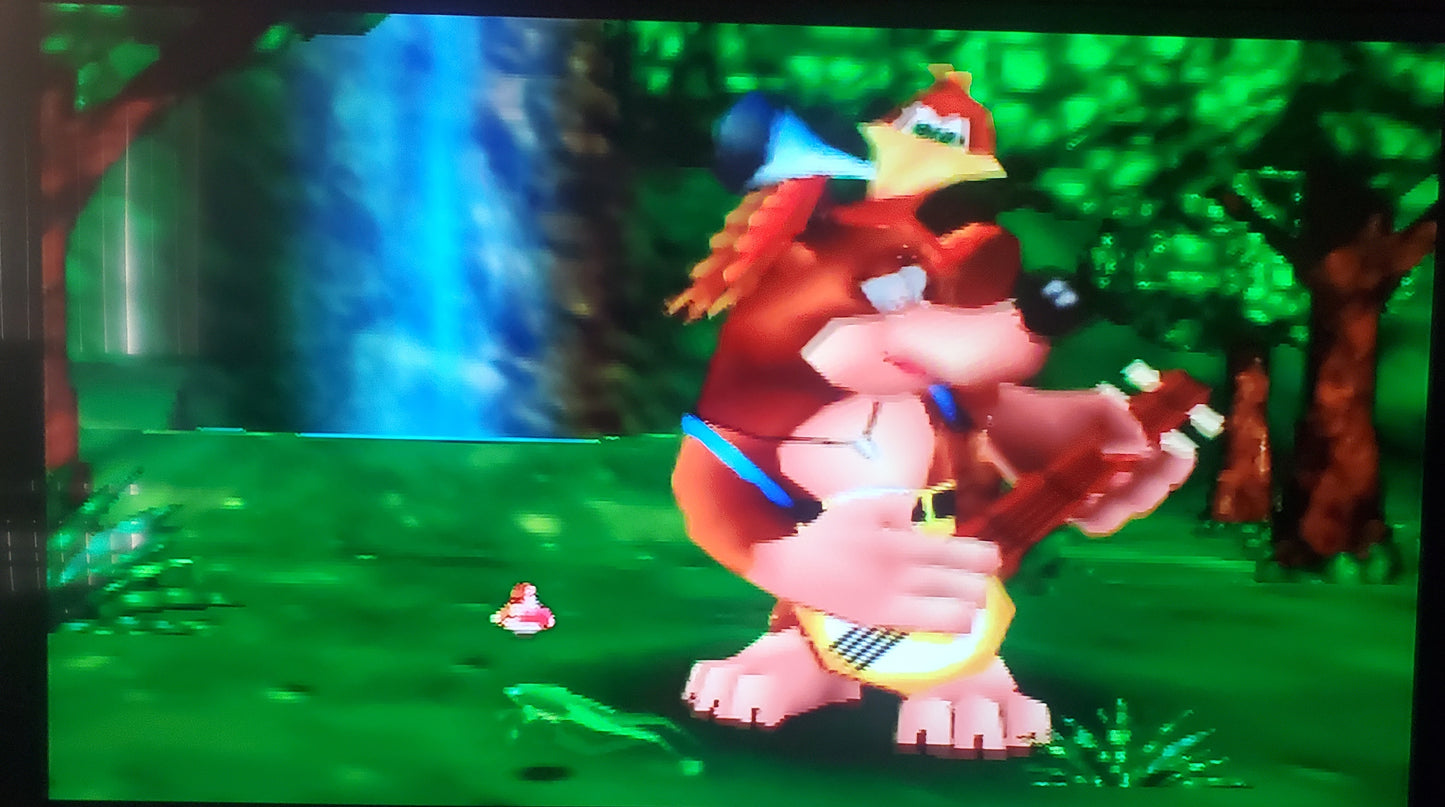 Banjo Kazooie N64 Nintendo 64 Video Game Cartridge 1998