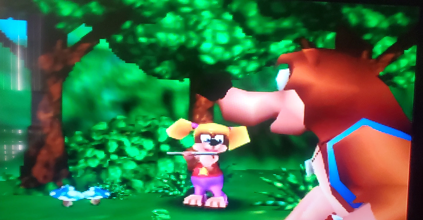 Banjo Kazooie N64 Nintendo 64 Video Game Cartridge 1998