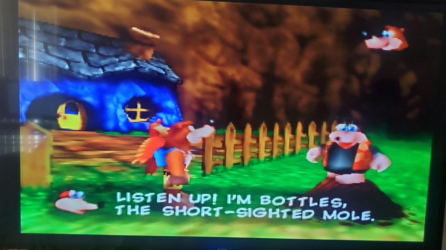 Banjo Kazooie N64 Nintendo 64 Video Game Cartridge 1998