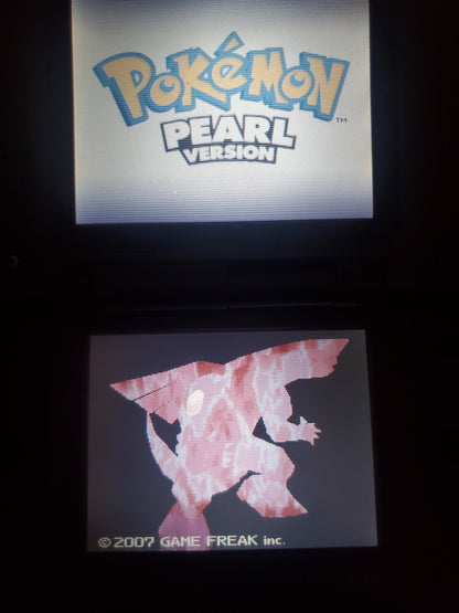 Nintendo DS Video Game Cartridge Collection